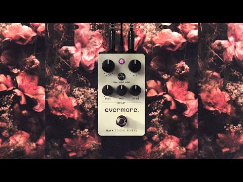 Evermore Studio Reverb