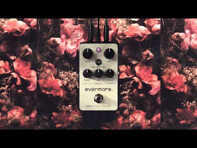 Evermore Studio Reverb