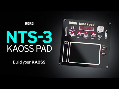 NTS-3