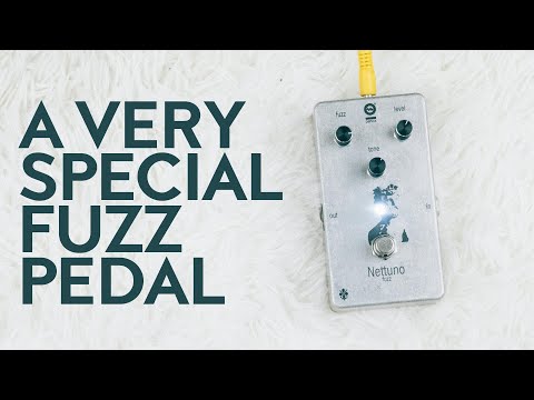 Nettuno Fuzz