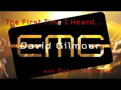 DG20-IV David Gilmour Signature Kit