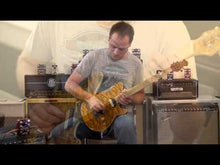 Ladda och spela upp video i Gallerivisaren, Pinnacle
