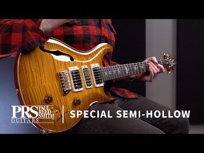 Special Semi-Hollow Purple Iris