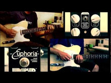 Ladda och spela upp video i Gallerivisaren, Euphoria
