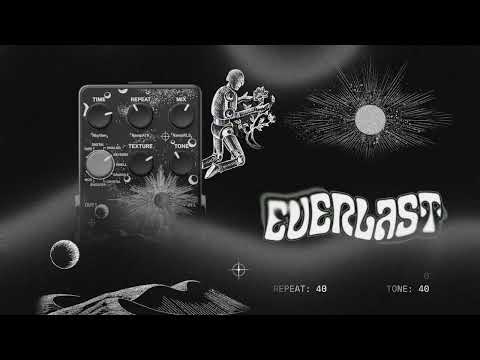 Everlast Multi Delay Pedal