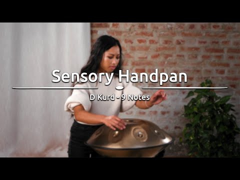 HPSTL90 Sensory Handpan D Kurd 9 Tones