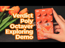 Load and play video in Gallery viewer, Verdict Polyphonic Octave Pedal
