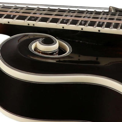 RMF-100-VS F-style mandolin