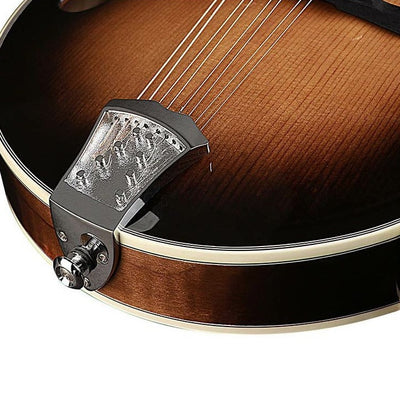 RMF-100-VS F-style mandolin