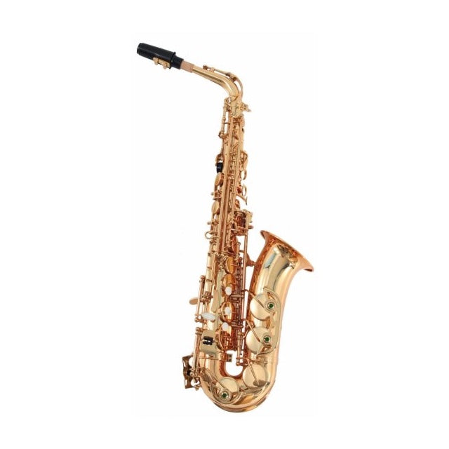 SALSX-20 Altsax Eb med etui