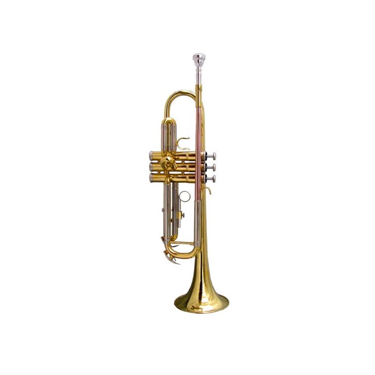 STPGD-10 Trumpet Gold