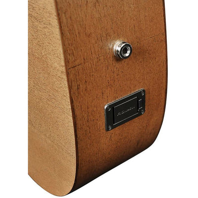 Richwood - A-50-E Master Series 000 - Musik Utan Gränser 
