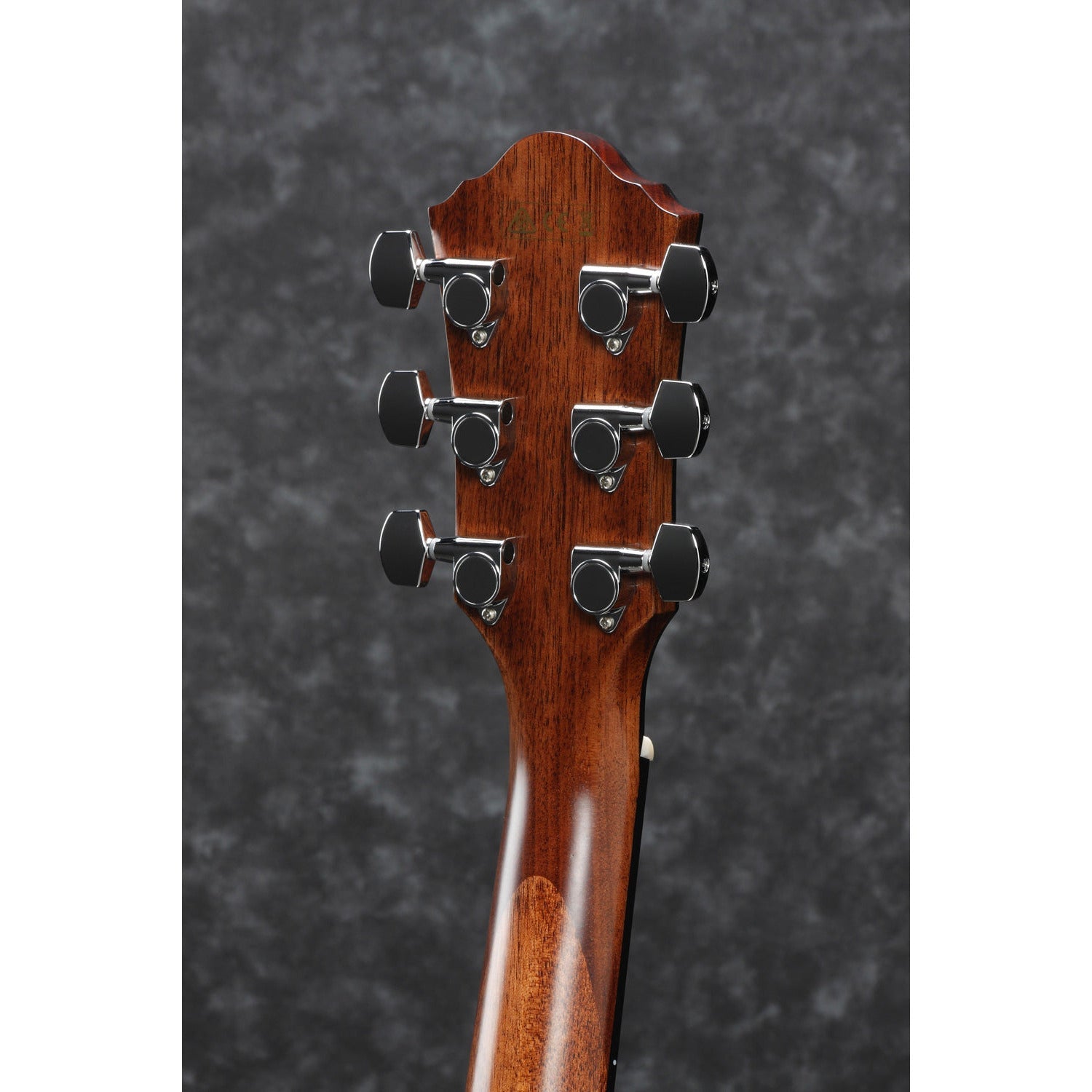 Ibanez - AEG200-LGS - Musik Utan Gränser 