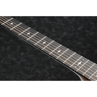 Ibanez - AEG200-LGS - Musik Utan Gränser 