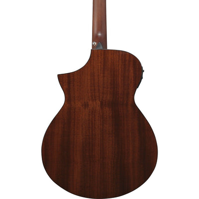 Ibanez - AEWC11-DVS - Musik Utan Gränser 