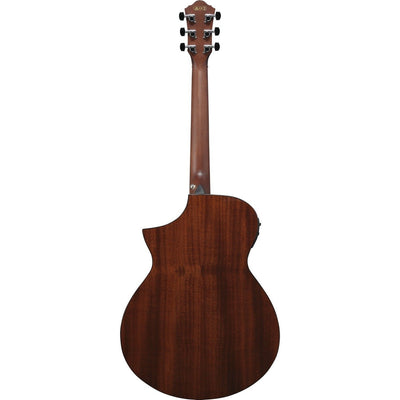 Ibanez - AEWC11-DVS - Musik Utan Gränser 