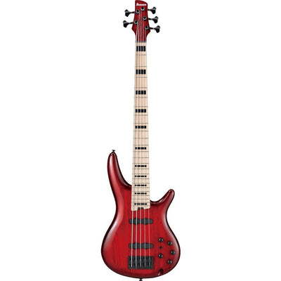 Ibanez - ANB205-TWB Adam Nitti - Musik Utan Gränser 