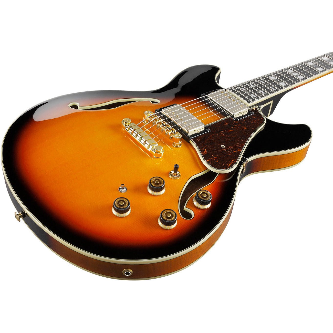 Ibanez - AS113-BS - Musik Utan Gränser 