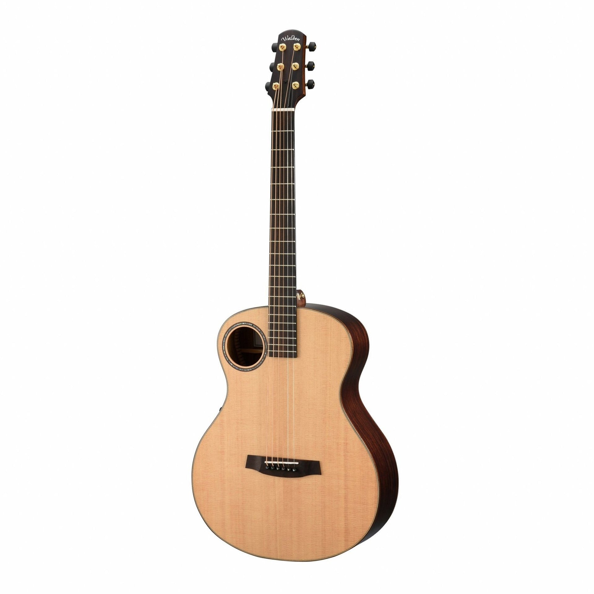 Walden - B1E Baritone Electric - Musik Utan Gränser 