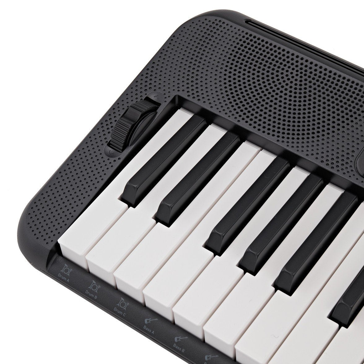Casio - CT-S300 - Musik Utan Gränser 