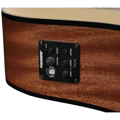 Richwood - D-40CE Master Series Dreadnought - Musik Utan Gränser 