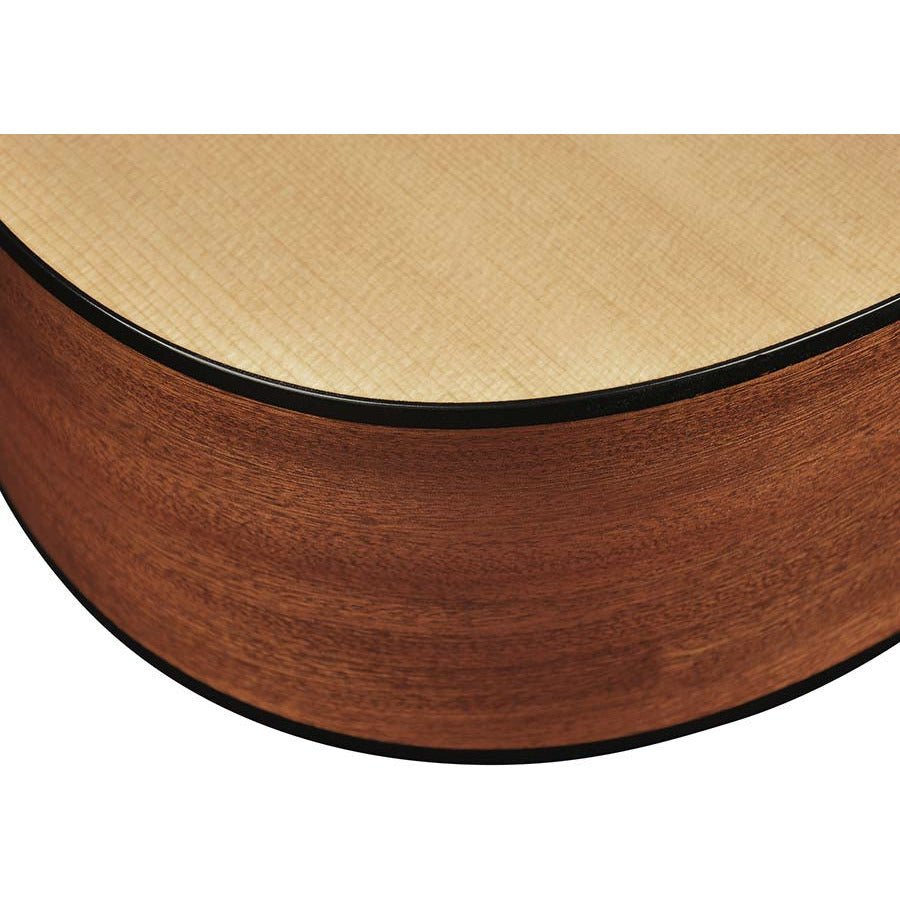 Richwood - D-40CE Master Series Dreadnought - Musik Utan Gränser 