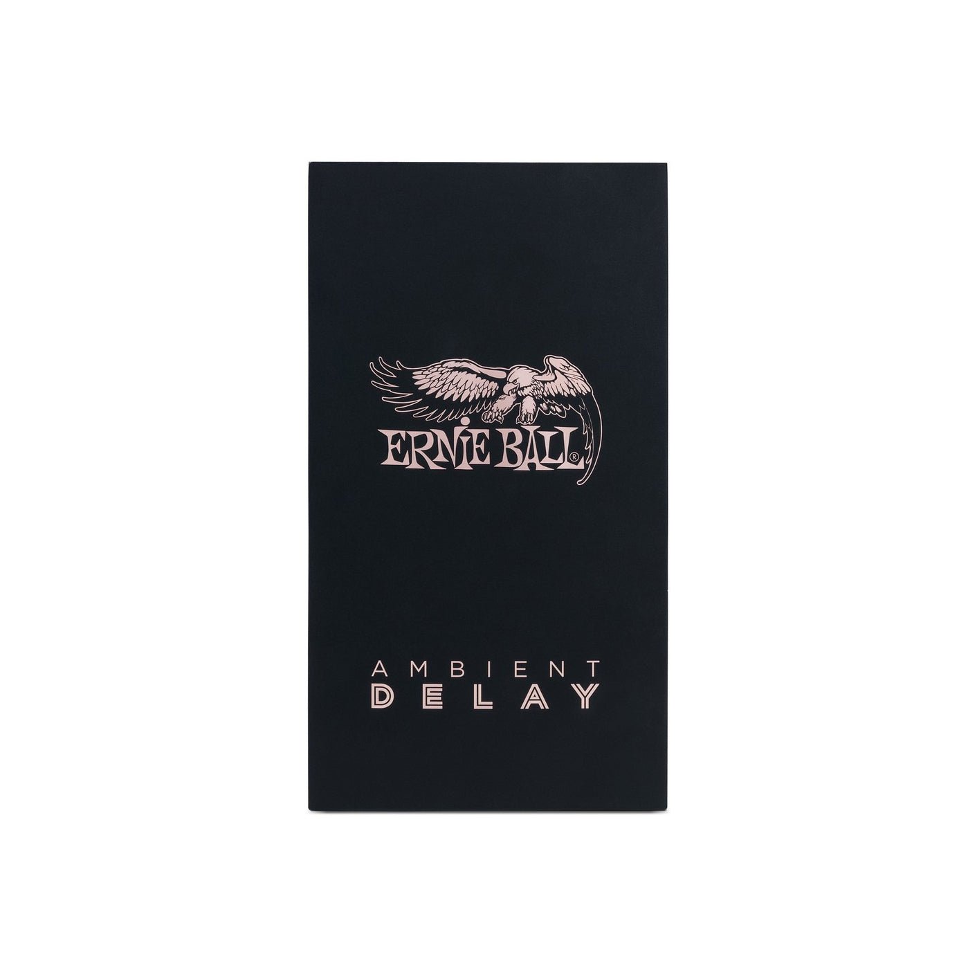 Ernie Ball - Expression Ambient Delay - Musik Utan Gränser 