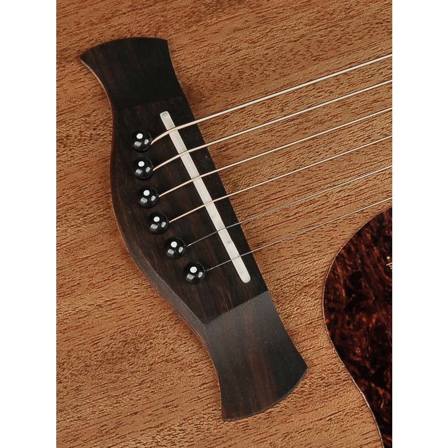 Richwood - G-50-CE Master Series Grand Auditorium - Musik Utan Gränser 