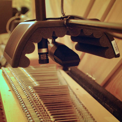 sE Electro­nics - GuitaRF Reflexion Filter - Musik Utan Gränser 