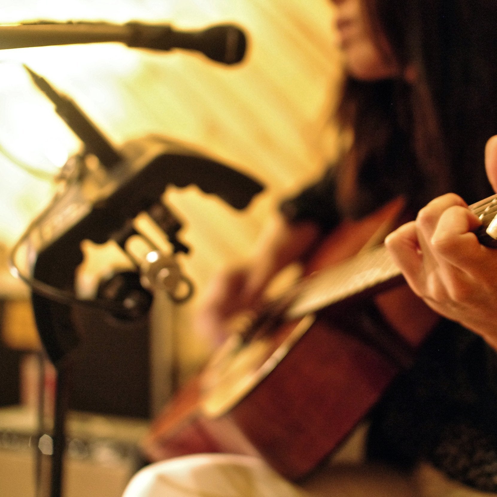 sE Electro­nics - GuitaRF Reflexion Filter - Musik Utan Gränser 