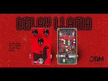 Ladda och spela upp video i Gallerivisaren, Delay Llama MK.2
