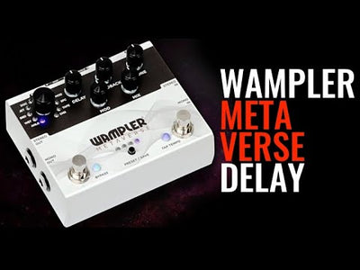 Metaverse Multi-Delay