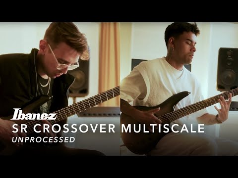 SRC6MS-BLL bass/guitar