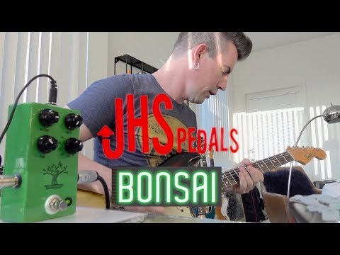 The Bonsai