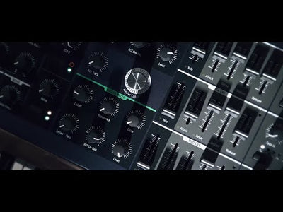 PolyBrute