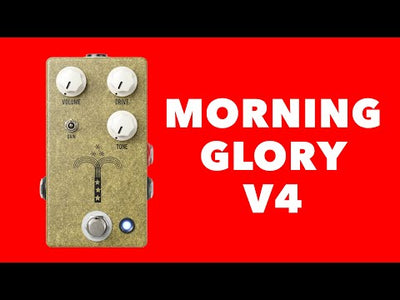 Morning Glory V4