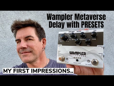 Metaverse Multi-Delay