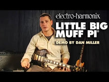 Ladda och spela upp video i Gallerivisaren, Little Big Muff
