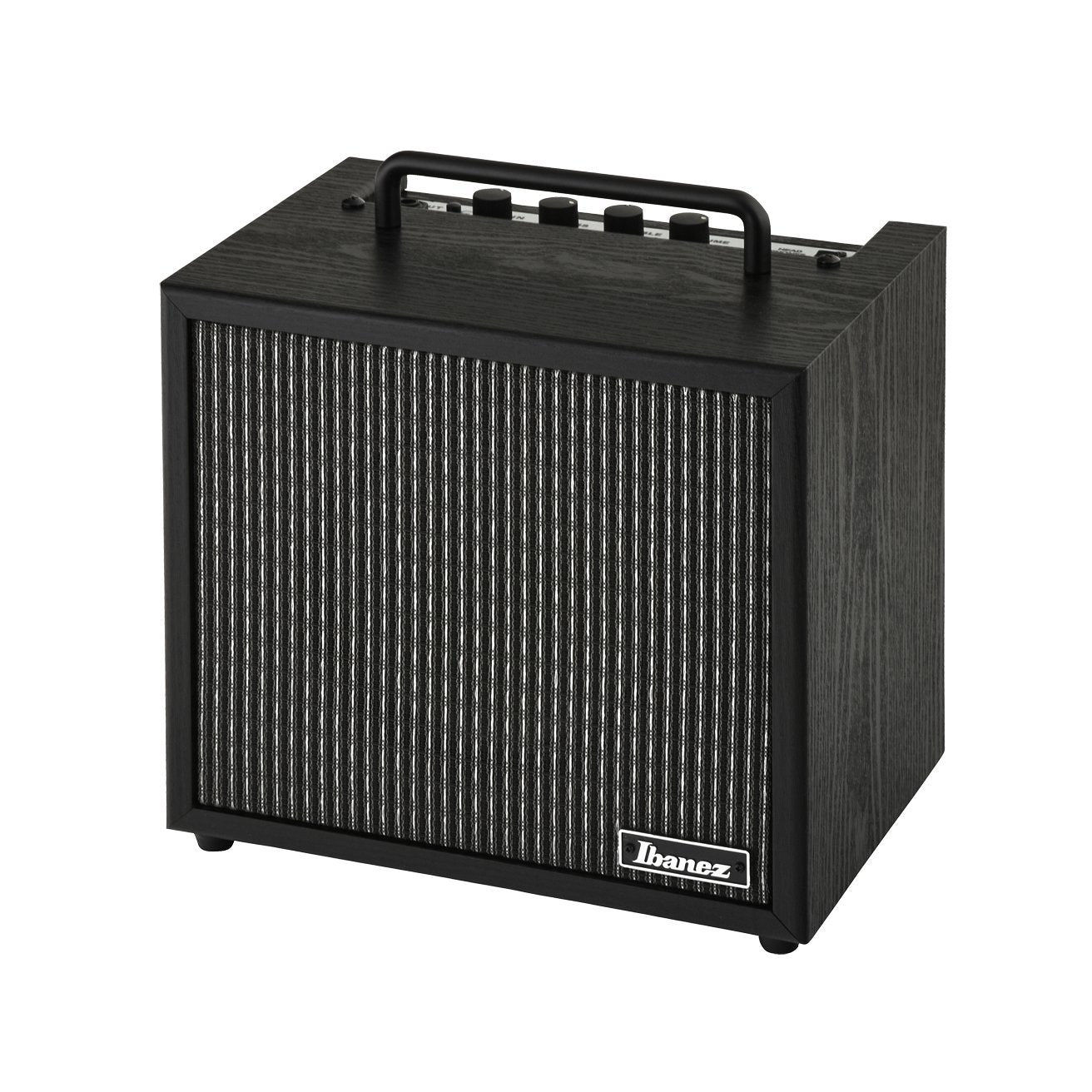 Ibanez - IBZ10GV2 - Musik Utan Gränser 