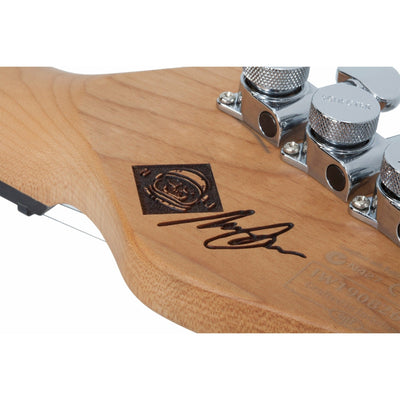 Schecter - Nick Johnston TRAD- HSS L/H A. Green vänsterhänt - Musik Utan Gränser 