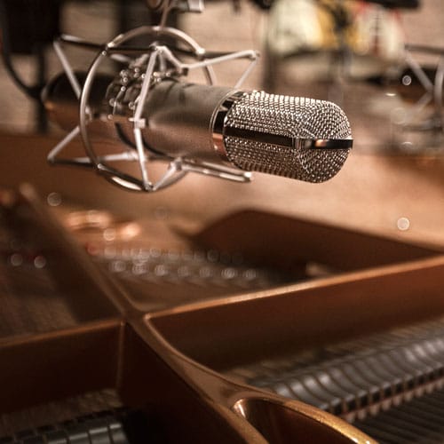 Warm Audio - WA-CX12 stormembrans rörmikrofon - Musik Utan Gränser 